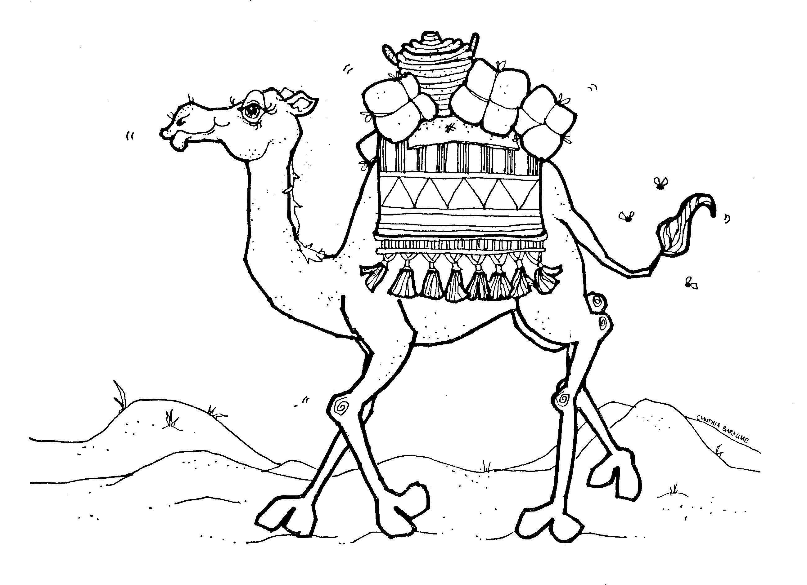 camel cindys