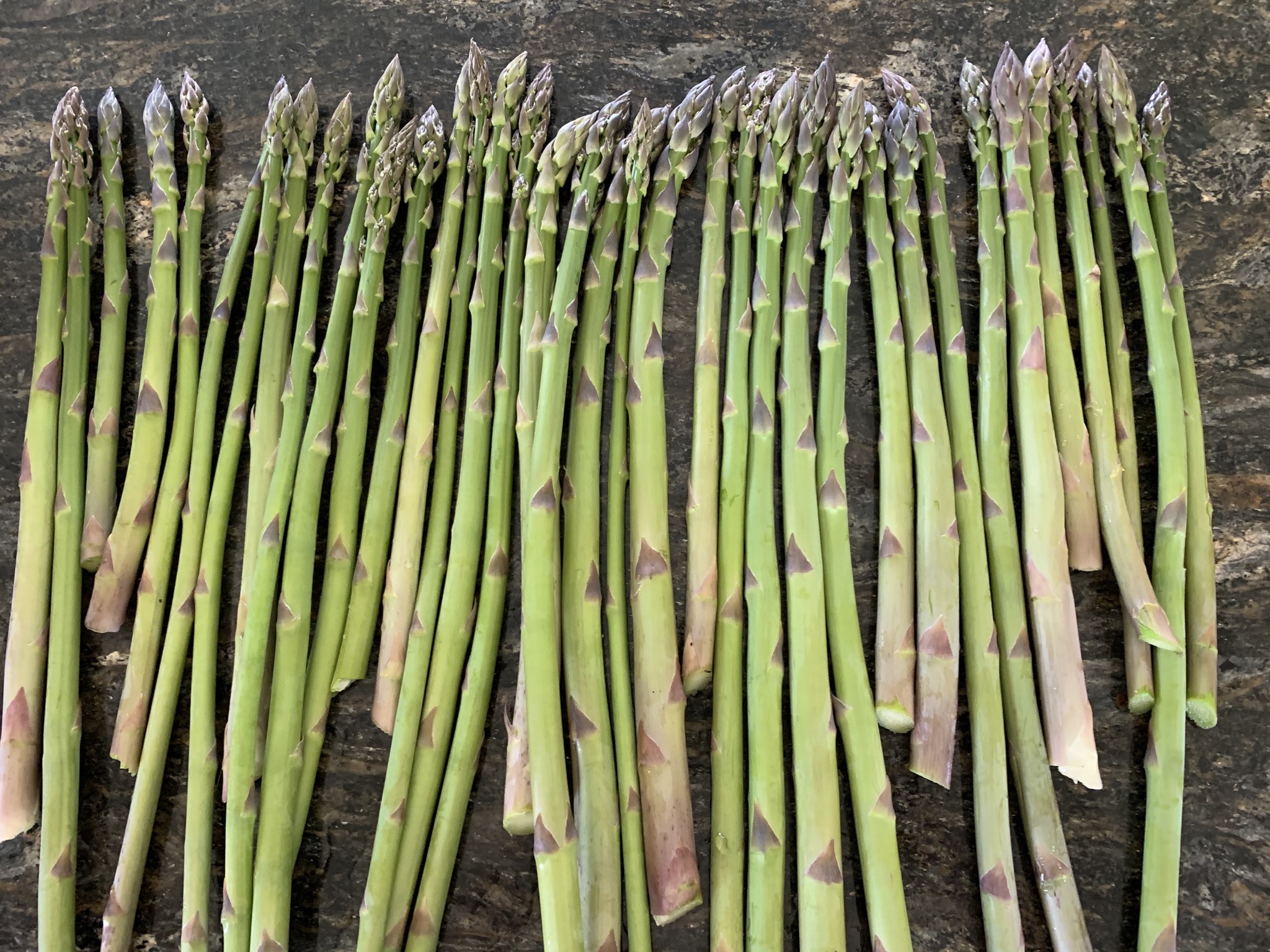 How to double or triple your asparagus yield – Jenny Smith